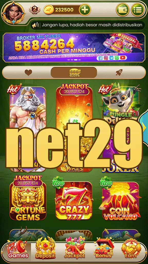 net29 Unduh